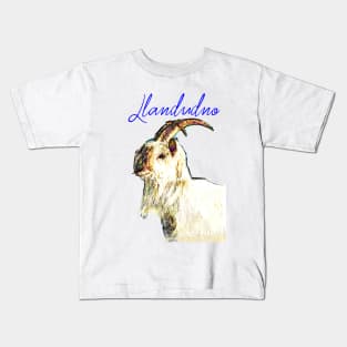 LLANDUDNO GREAT ORME GOAT BLUE Kids T-Shirt